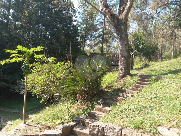 Foto REO1107572