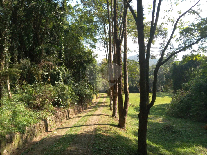 Foto REO1107572
