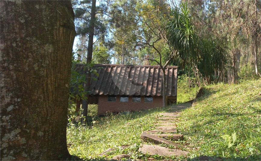 Foto REO1107572