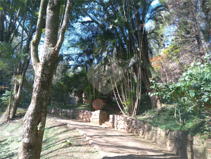 Foto REO1107572