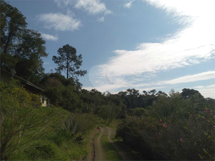 Foto REO1107572