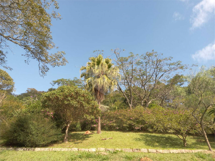 Foto REO1107572
