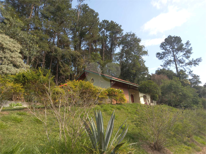 Foto REO1107572