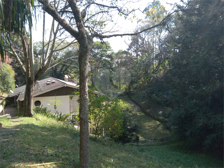 Foto REO1107572