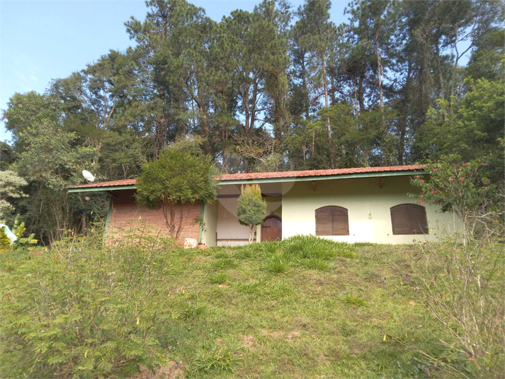 Foto REO1107572