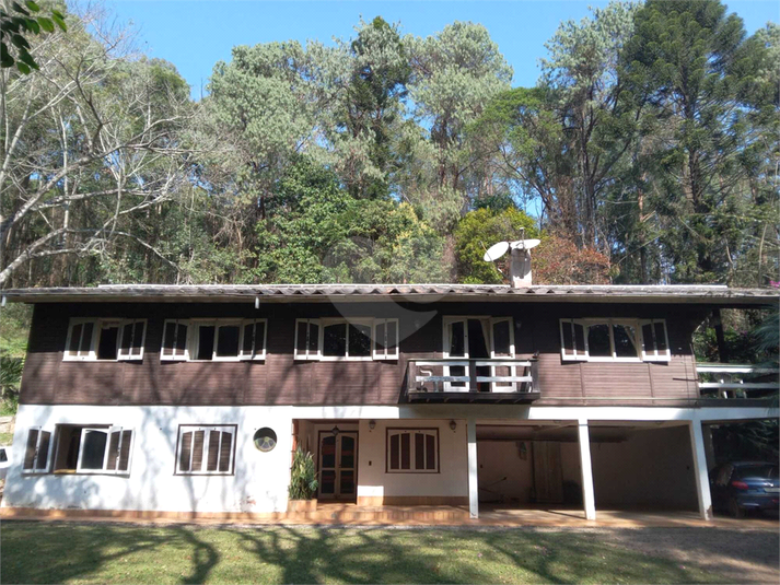 Foto REO1107572