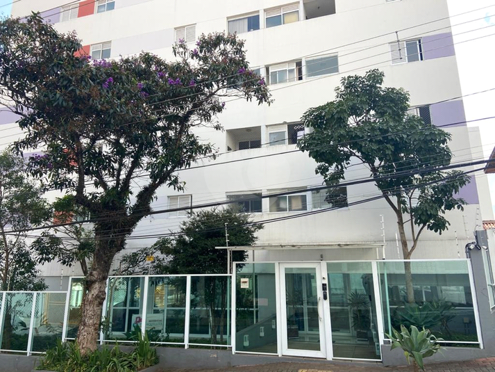 Foto REO1107577