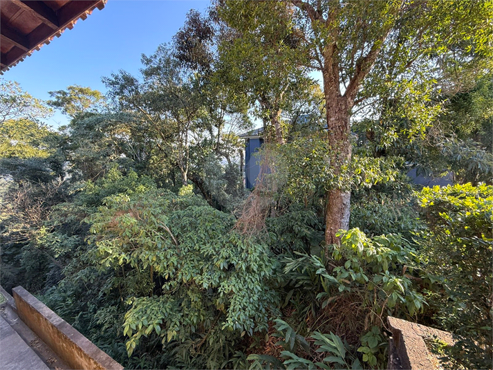 Foto REO1107583