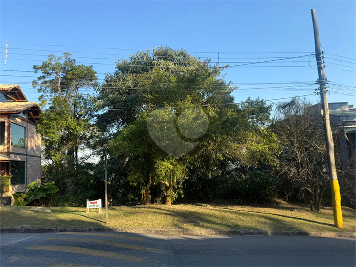 Foto REO1107583