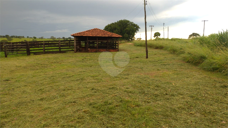 Foto REO1107586