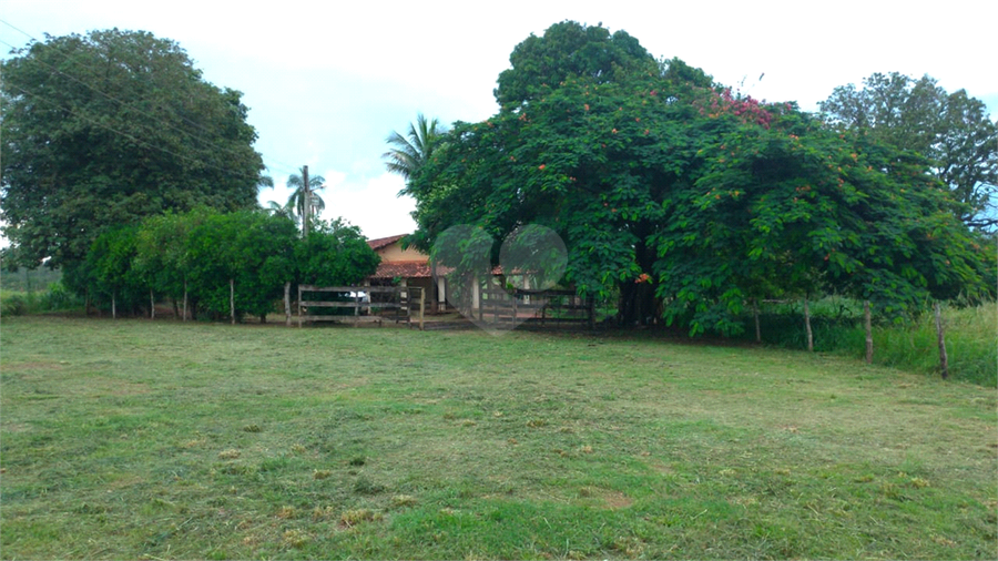 Foto REO1107586