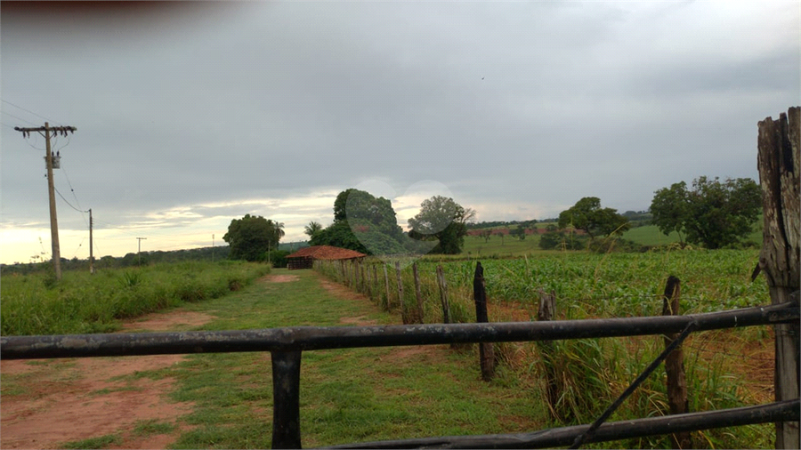 Foto REO1107586