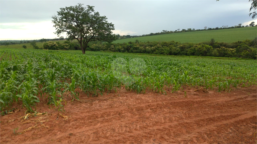 Foto REO1107586