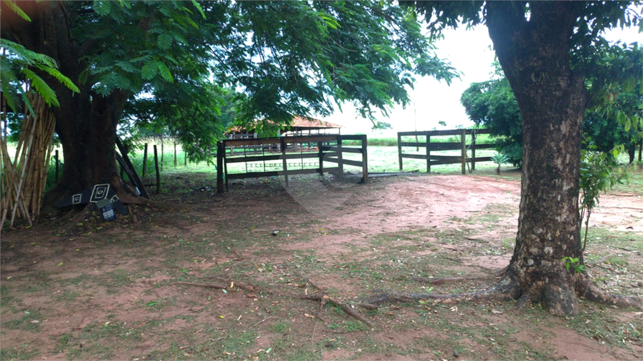 Foto REO1107586