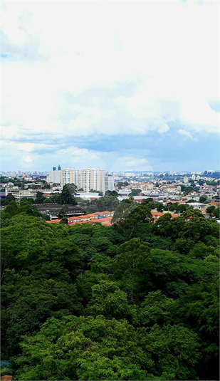 Foto REO1107609