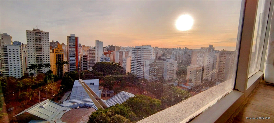 Foto REO1107619