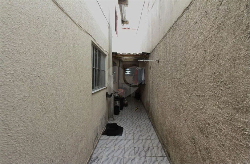Foto REO1107621