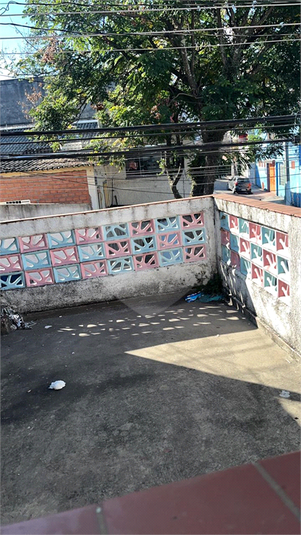 Foto REO1107635