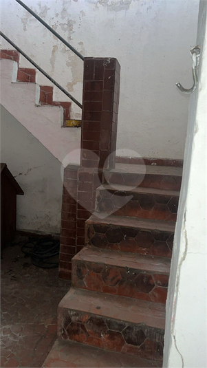 Foto REO1107635