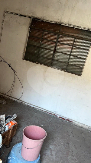 Foto REO1107635