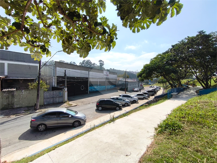 Foto REO1107640