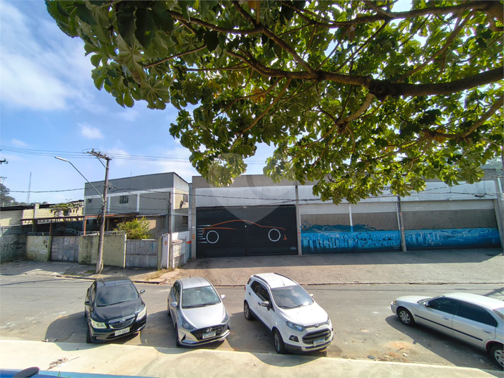 Foto REO1107640