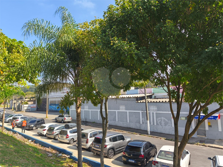 Foto REO1107640