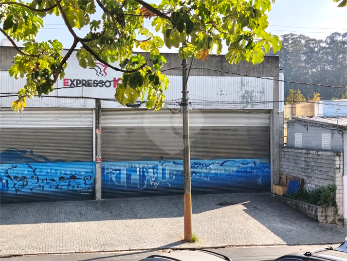 Foto REO1107640
