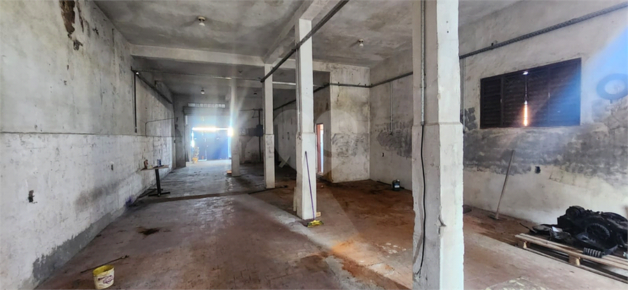 Foto REO1107644