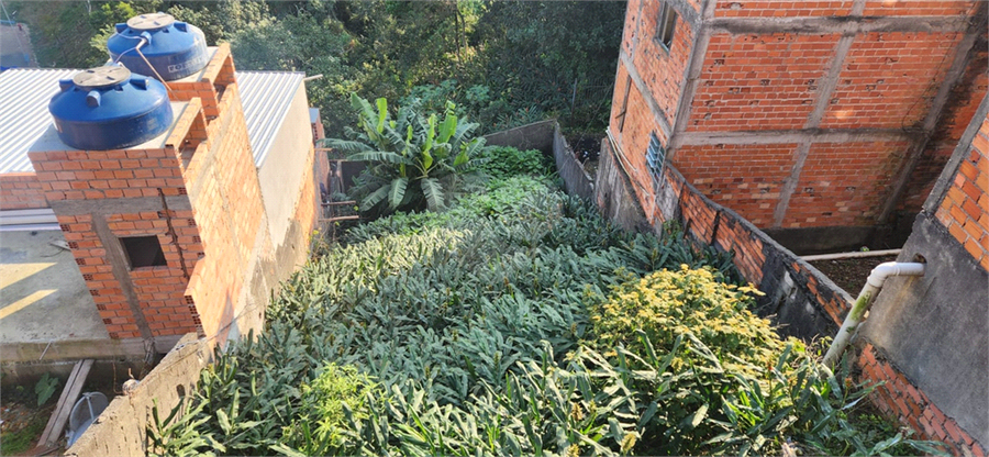 Foto REO1107644