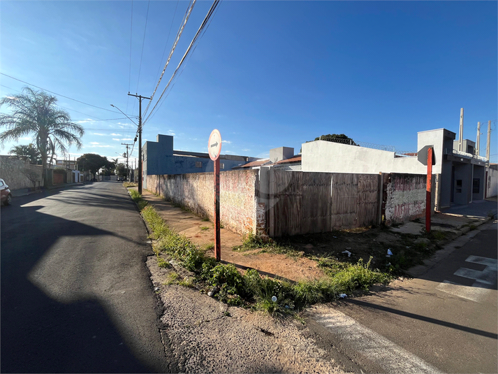 Foto REO1107649
