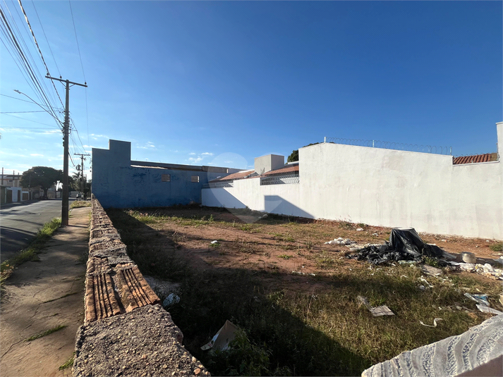 Foto REO1107649