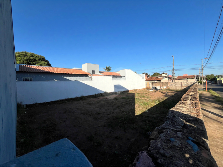Foto REO1107649