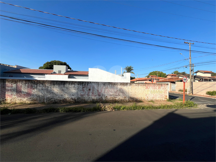 Foto REO1107649