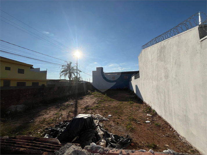 Foto REO1107649
