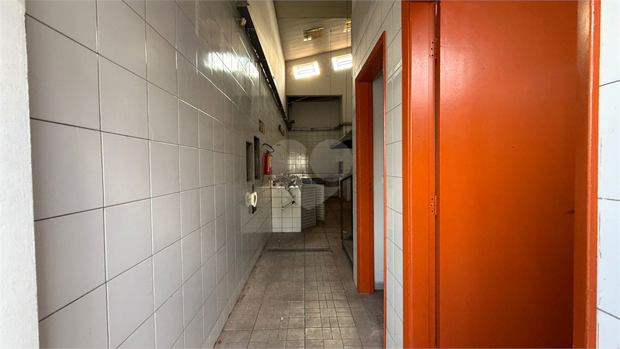 Foto REO1107660