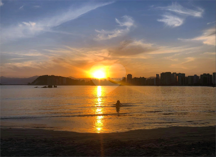 Foto REO1107674