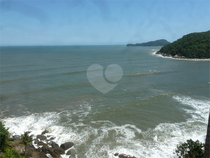 Foto REO1107674