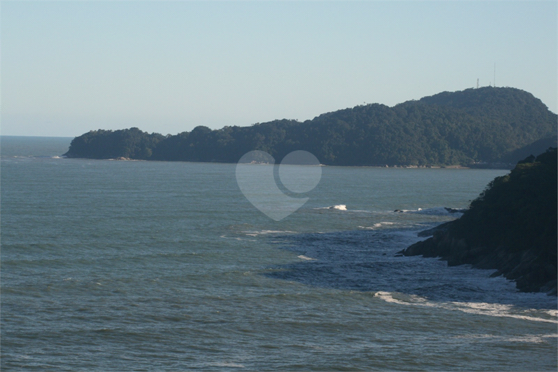 Foto REO1107674
