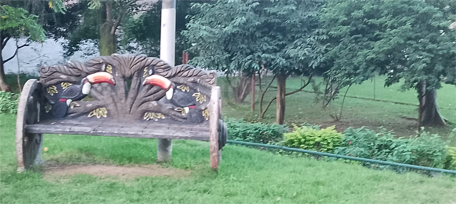 Foto REO1107681