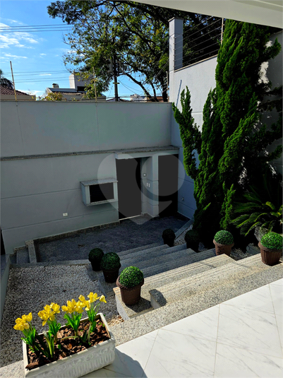 Foto REO1107684