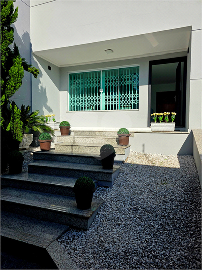 Foto REO1107684