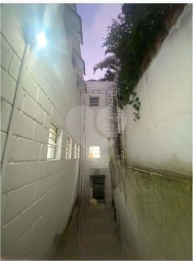 Foto REO1107687