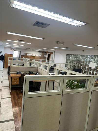 Foto REO1107692