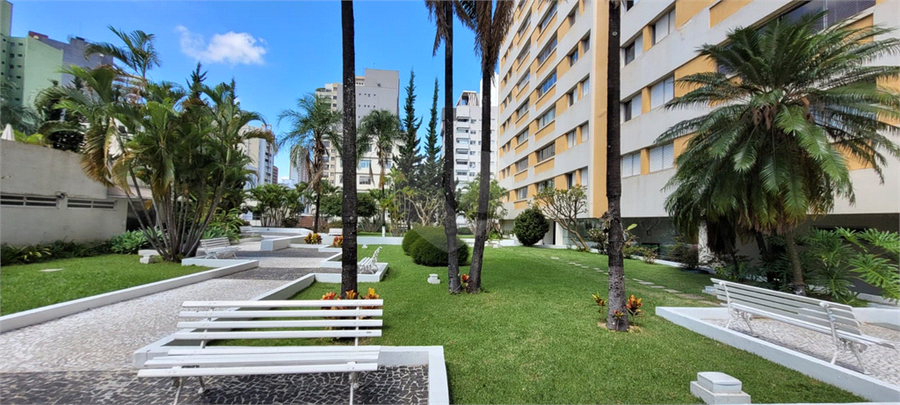 Foto REO1107713