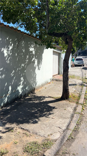 Foto REO1107737