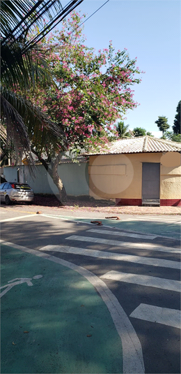 Foto REO1107737