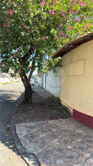 Foto REO1107737