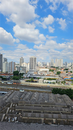 Foto REO1107755