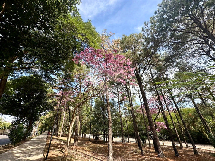 Foto REO1107759